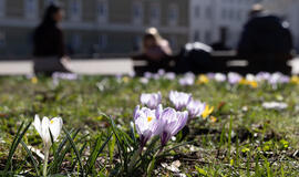 Orai: pavasaris įsibėgėja