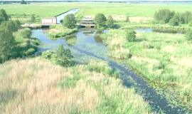 Pažintinis takas palei Krokų Lanką ir Kniaupo įlanką