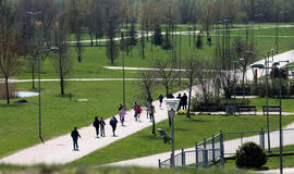 Sąjūdžio parkas, žmonės, medžiai