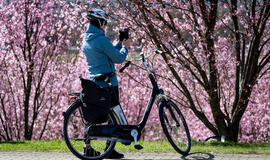 Sinoptikai apie orus: džiugins malonus pavasaris - vietomis 17 laipsnių šiluma