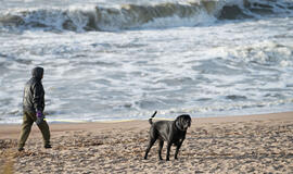 Paplūdimys, šuo, žmogus, jūra