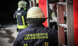 Uugniagesiams teko pjauti spyną ir iš policijos automobilio išvaduoti sulaikytąjį