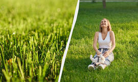 Veja kaip futbolo aikštėje: kaip teisingai sėti be volo ir ravėjimo