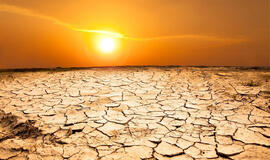 mokslininkai įspėjo apie neišvengiamus klimato pokyčius