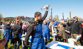 Žuvies filė čempionatas