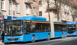 Klaipėda, autobusai, viešasis transportas