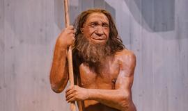 Neandertalietis