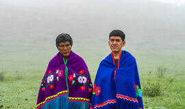 Argentinos menininkas