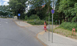 Bangų gatvė, medžiai