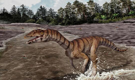 Naujojoje Meksikoje atrastas keistas „raganų krokodilas“, primenantis dinozaurą