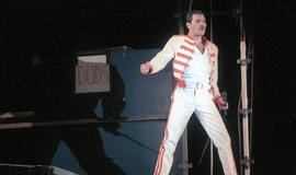Freddie Mercury