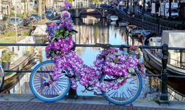 Amsterdamas, kanalas, dviratis, gėlės