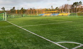 futbolo aikštė, dirbtinė veja