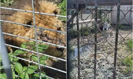 Klaipėdos zoologijos sodas