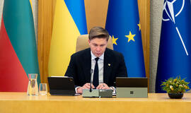 Mindaugas Sinkevičius, Vyriausybė