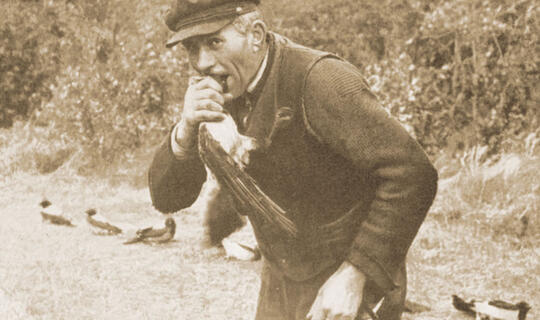 Varnų gaudymo mitai ir faktai