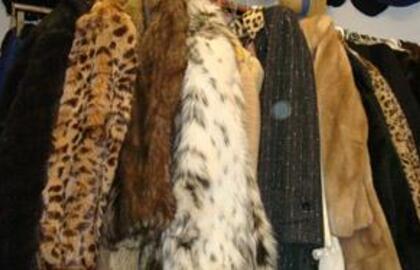 Pavogti kailiniai nesušildė