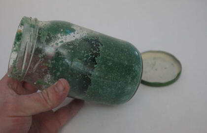 Kodėl česnakai keičia spalvą?