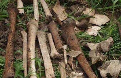 Aptikti žmonių kaulai