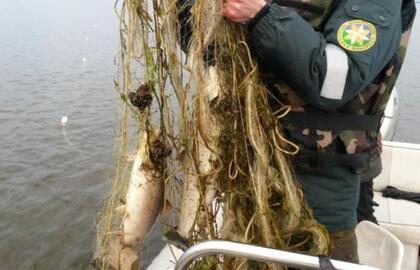 Lietuvoje brakonierių sumažėjo daugiau nei 3 kartus