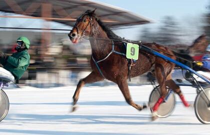 Eikliausi ristūnai vasario 7-ąją tradiciškai rinksis į Sartus