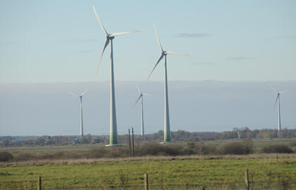 „Litgrid“ prie perdavimo tinklo šiemet prijungė 347 MW galios vėjo jėgainių