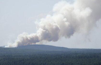 Kuršių nerija – kaip tiksinti bomba