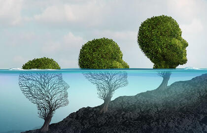 Atsikratyti įtampos padės neįprasta miško terapija