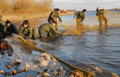 Prisiekė ir tuoj pat pasiūlė uždrausti verslinę žvejybą Kuršių mariose