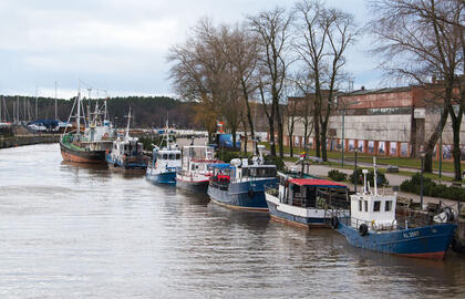 Danė