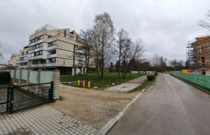 MEDŽIAI. Dizaineris Juozas Statkevičius ėmėsi vadovauti kaimynų grupei, kuri siekia išsaugoti berželius Palangoje. „Google maps“ nuotr.