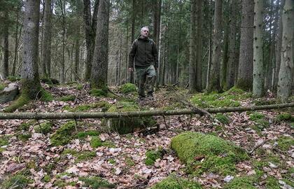 Mistiškasis Pilalės miškas prie Auksūdžio kaimo Kretingos rajone. Čia ne tik laumės, velniai vaidenasi: medžių gūdumoje slypi iš akmenų sukrautas itin retas priešistorės gynybinis įtvirtinimas. Deniso NIKITENKOS nuotr.