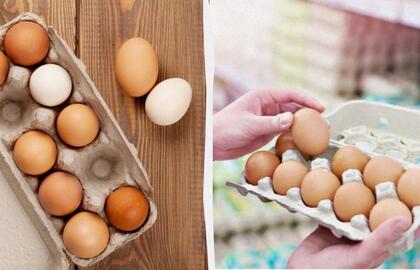 Balti ar rudi kiaušiniai: ar iš tikrųjų egzistuoja koks nors skirtumas?