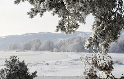 Neringos savivaldybės