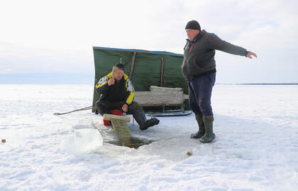 Bumbenieke zvejībe, arba Stintų fenomenas
