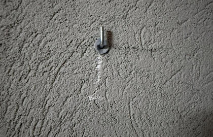 Pepper grey, paveikslas, vagystė