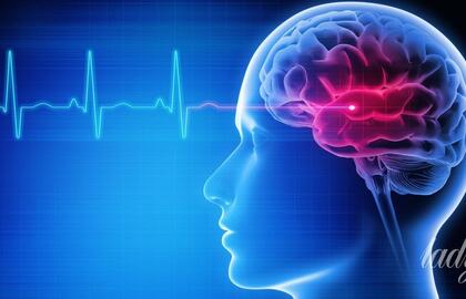 Mokslininkai laboratorijoje išaugino smegenis: kuo viskas baigėsi