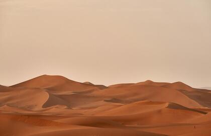 Mokslininkai dykumoje rado paslėptus tunelius