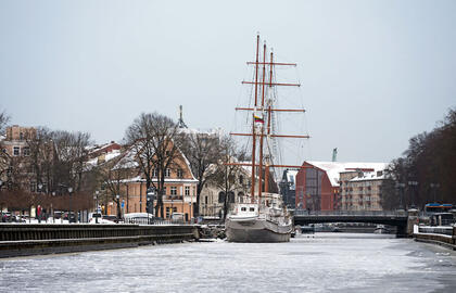 Pasaulio sveikatos organizacija, Klaipėda