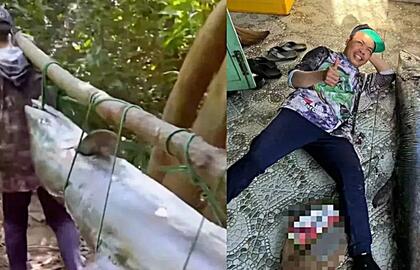 Ištraukė žmogaus dydžio skumbrę