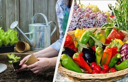 Mėnulio kalendorius