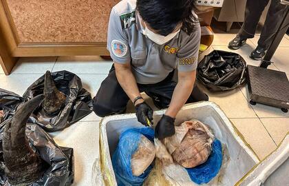 Raganosio ragų kontrabanda