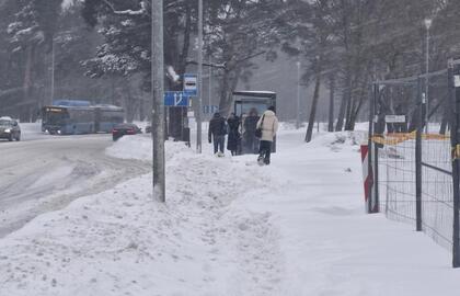 Sniegas, Klaipėda, pėstieji