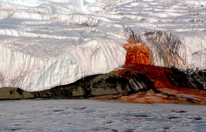 Antarktida tarsi kraujuoja: mokslininkai galiausiai išsiaiškino kodėl