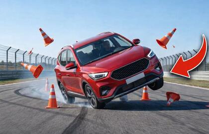 „Briedžio testas“ (angl. moose test)