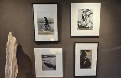 Fotografijos, paroda