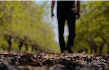 Vaikščiojimas parke