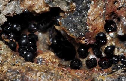 Radiniai juros gelmėse