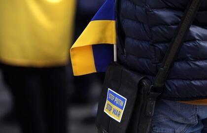 Ukrainos vėliavėlė