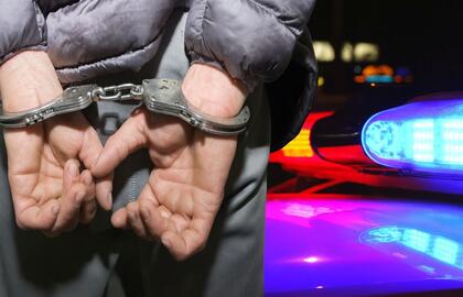 Kriminalinė suvestinė